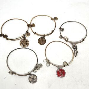 ALEX and ANI Bangle Bracelet Lot #1 Wear Compass, Larkspur, Hockey, Flying Shoe